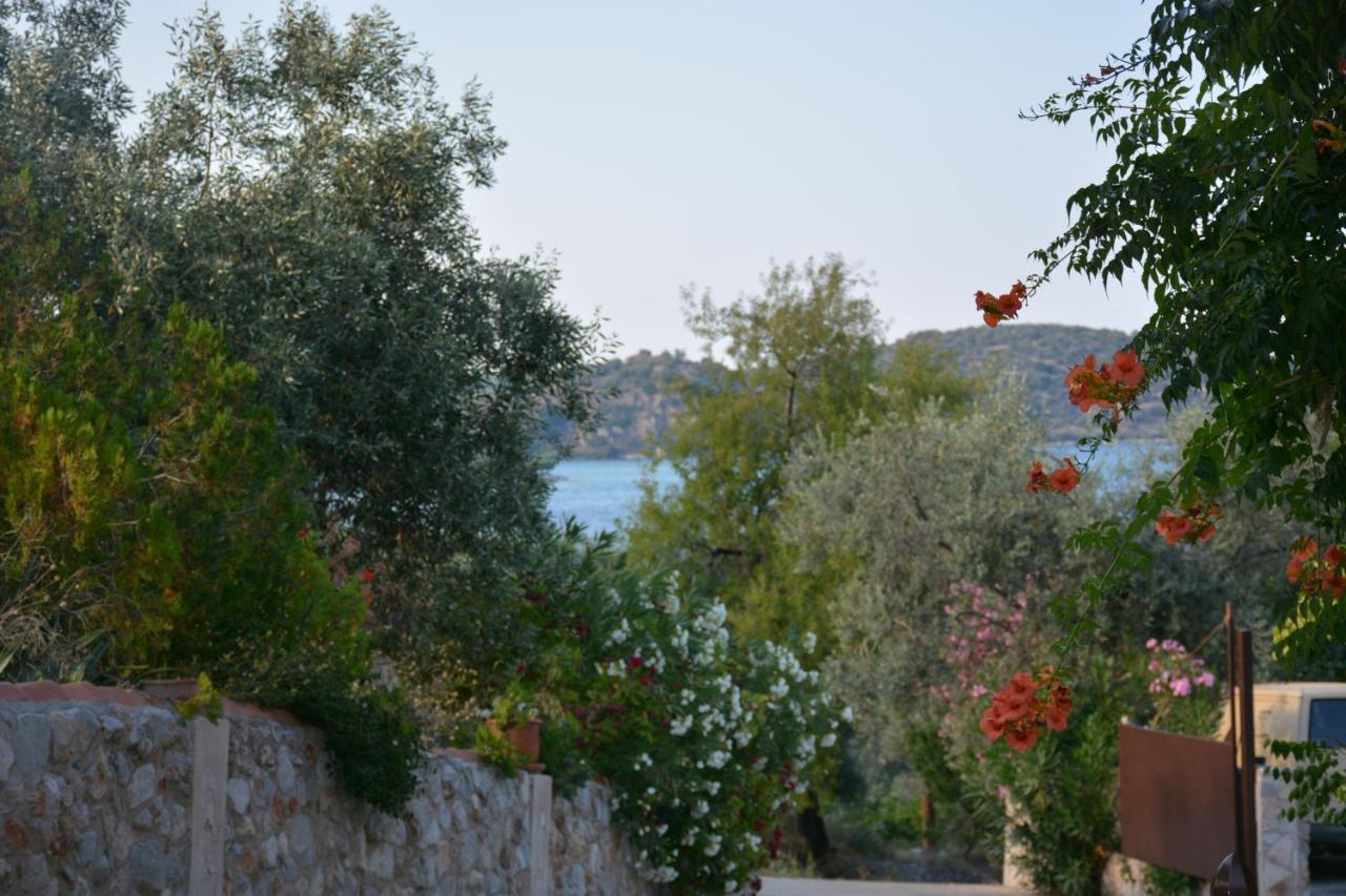 Aristotelis Epidaurus Exterior photo